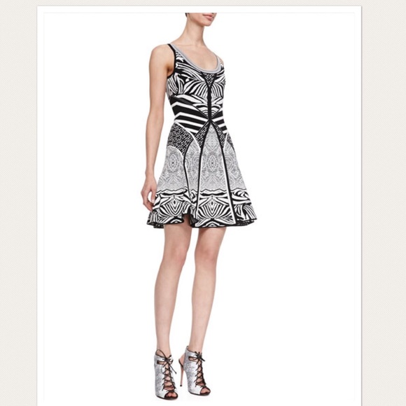 Diane von Fustenberg Fanny Fit-and-Flare dress